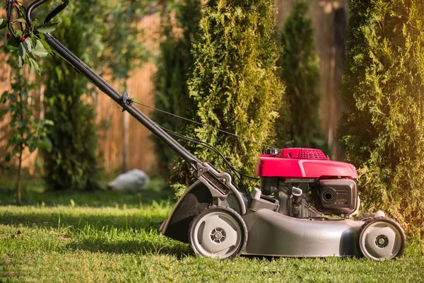 Red Lawn mower cutting grass