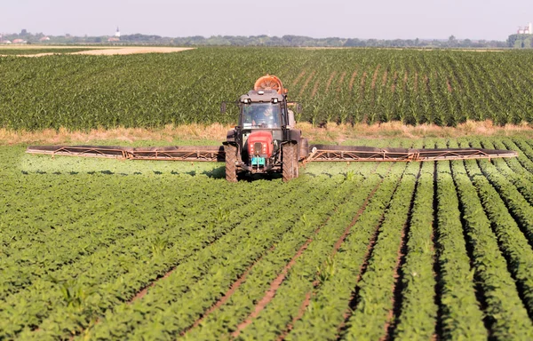 Tractor Spraying Pesticides Soybean Field Sprayer Spring — Stock Photo, Image