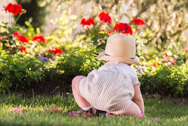 Bambino Seduto Sull Erba Guardare Fiori Giardino Nella Bella Giornata — Foto Stock