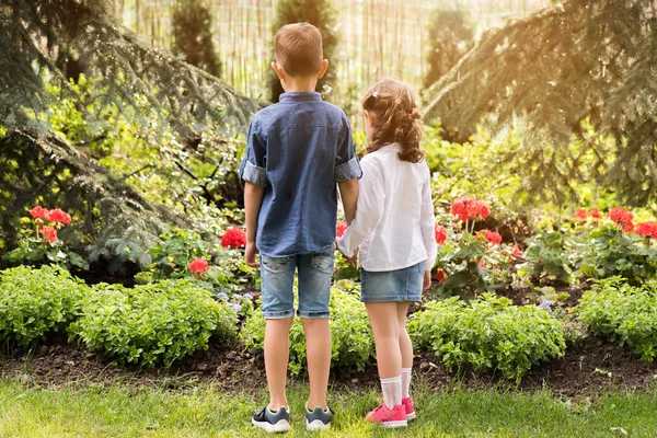 Lachende Zus Broer Poseren Tuin — Stockfoto