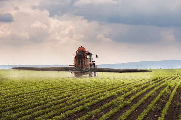 Trattore Che Spruzza Pesticidi Sul Campo Soia Con Spruzzatore Primavera — Foto Stock