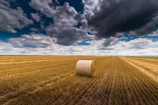 Piękny Krajobraz Pole Rolnych Pszenicy Okrągłe Wiązki Suchej Trawy Polu — Zdjęcie stockowe