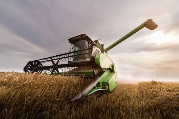 初夏のコンバインで麦畑の収穫 — ストック写真