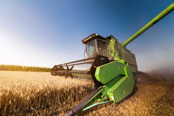 Harvesting Wheat Field Combine Early Summer — Stock Photo, Image