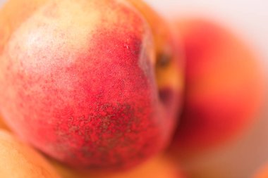 Olgun kayısı yakın çekim