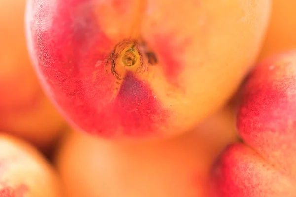 Avvicinamento Delle Albicocche Mature — Foto Stock