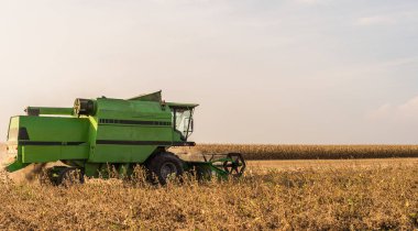 Soya alanı birleştirmek ile geç yaz aylarında hasat.