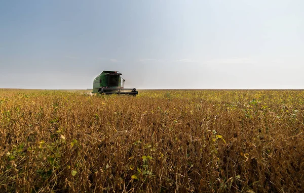 夏の終わりに結合と大豆畑の収穫 — ストック写真
