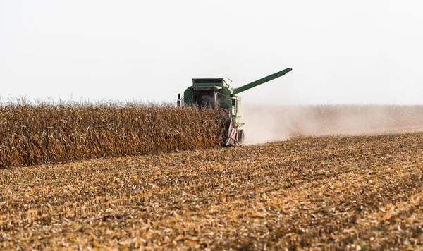 Cosecha Campos Maíz Con Combine — Foto de Stock