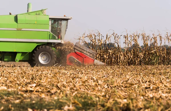 Harvesting Corn Fields Combine — Stock Photo, Image