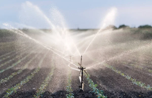 Sistema Irrigação Funcionamento Campo — Fotografia de Stock