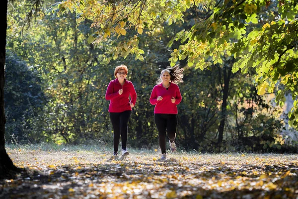 Matka Dcera Sobě Sportovní Oblečení Běh Lese Horách — Stock fotografie