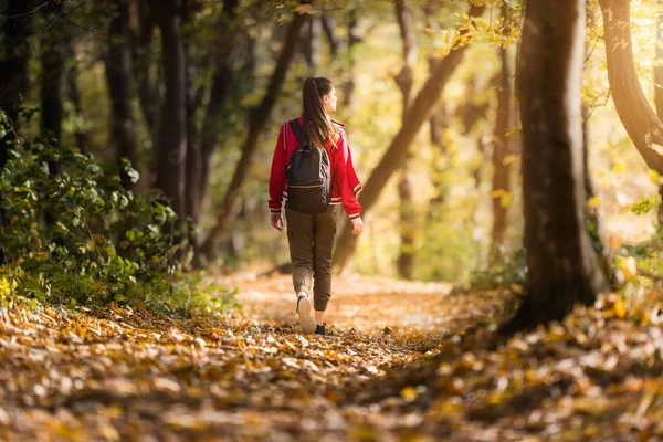 秋天美丽的女孩走在槽森林里 — 图库照片