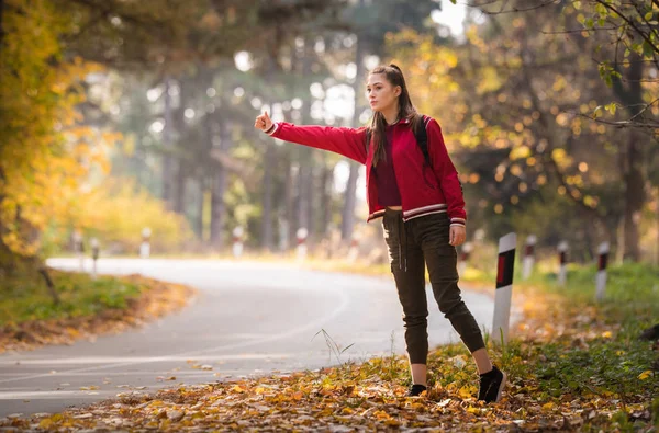Piękna Dziewczyna Autostop Lesie Jesienią — Zdjęcie stockowe