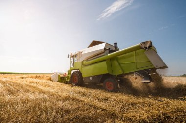 Buğday alanları birleştirmek ile hasat