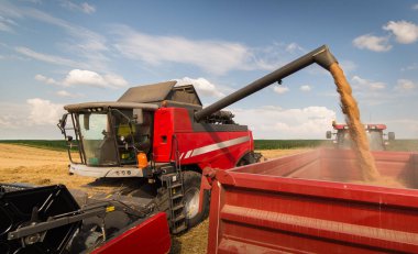 Buğday tahıl hasat Field'da sonra traktör römork dökme 