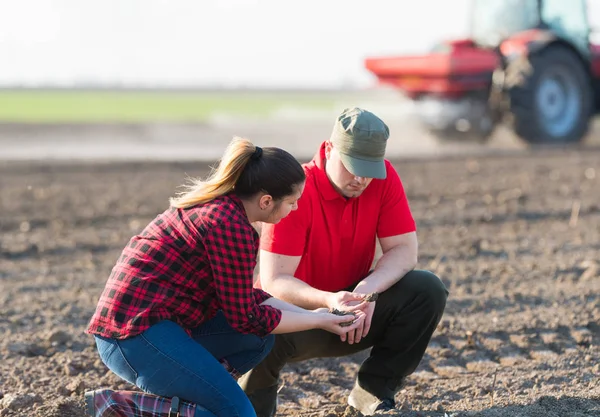 Jovens Agricultores Que Examinam Campo Trigo Plantado — Fotografia de Stock