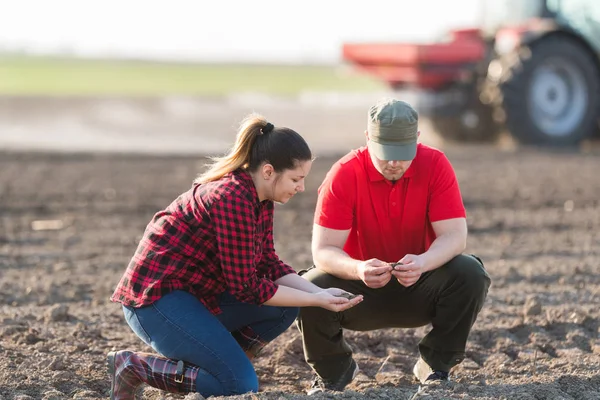 Tinerii Fermieri Examinează Terenul Grâu Plantat — Fotografie, imagine de stoc