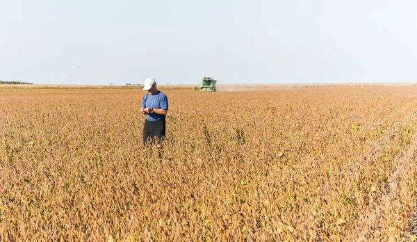 Jóvenes Agricultores Examinan Campo Soja Plantado —  Fotos de Stock