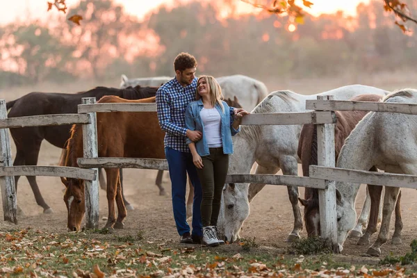 Pareja Amor Disfrutar Del Día Naturaleza Hermosos Caballos —  Fotos de Stock