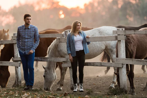 Pareja Amor Disfrutar Del Día Naturaleza Hermosos Caballos —  Fotos de Stock