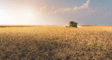 Soya fasulyesi alanları birleştirmek ile hasat