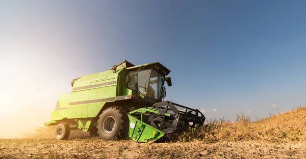 Cosecha Campos Soja Con Combine — Foto de Stock