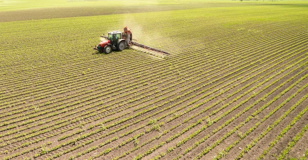 Traktor Rozprašuje Pesticidy Poli Sóji — Stock fotografie