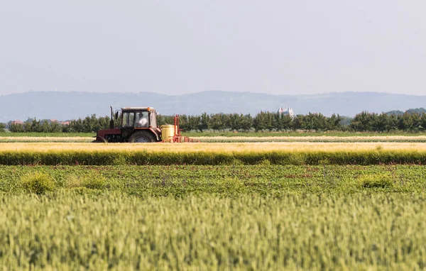 Tractor Rociando Pesticidas Campos Soja —  Fotos de Stock