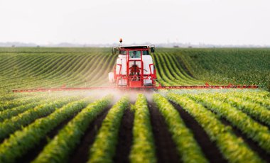 Tractor spraying a field of soybean clipart