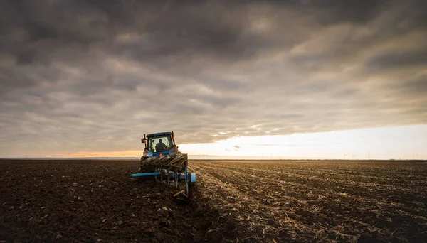 Tractor Azul Plowing Atardecer —  Fotos de Stock