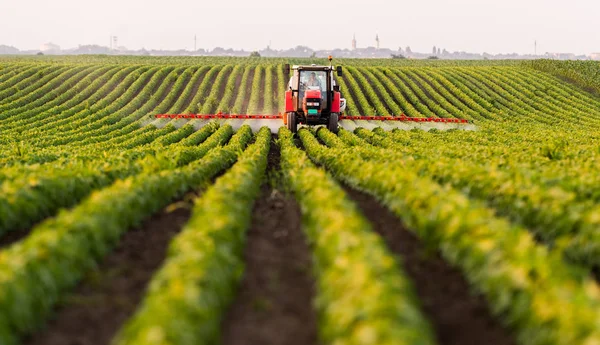 Traktor Versprüht Ein Sojabohnenfeld — Stockfoto