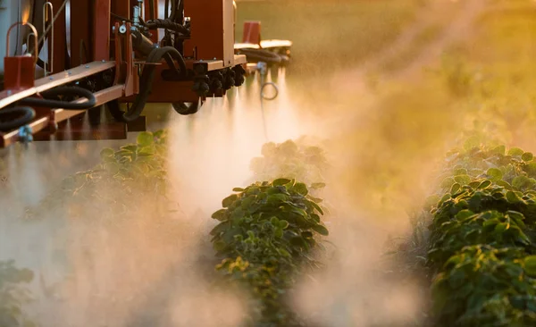 Traktor Sprutning Ett Fält Sojabönor — Stockfoto