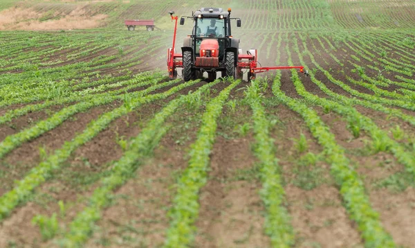 Mezőgazdasági Területen Traktorvetéssel Rendelkező Mezőgazdasági Termelő — Stock Fotó