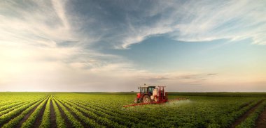 Tractor spraying pesticides at  soy bean fields clipart