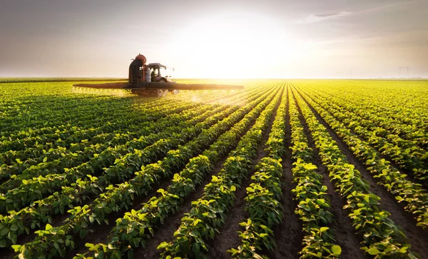 Tractorverstuiving Van Bestrijdingsmiddelen Sojavelden — Stockfoto