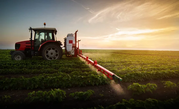 Traktor Rozprašuje Pesticidy Poli Sóji — Stock fotografie