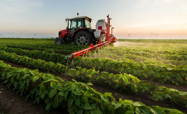 Traktor Rozprašuje Pesticidy Poli Sóji — Stock fotografie