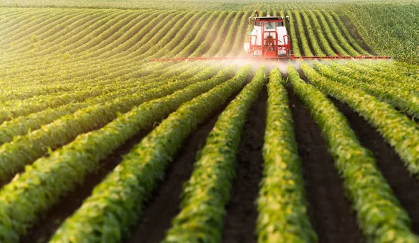 Traktor Rozprašuje Pesticidy Poli Sóji — Stock fotografie