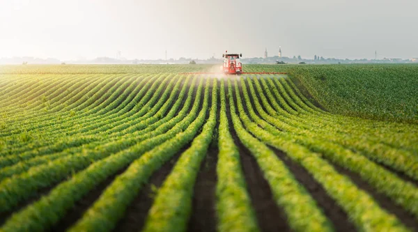 Traktor Rozprašuje Pesticidy Poli Sóji — Stock fotografie