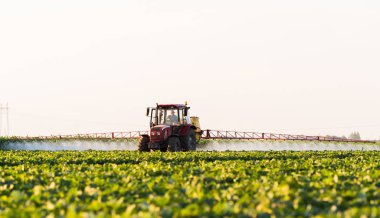Çiftçi bir traktör bir püskürtücü ile genç sebze için gübre yapar