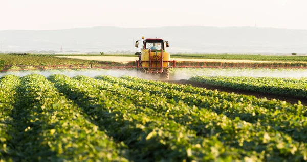 Farmer Tractor Sprayer Makes Fertilizer Young Vegetables — Stock Photo, Image