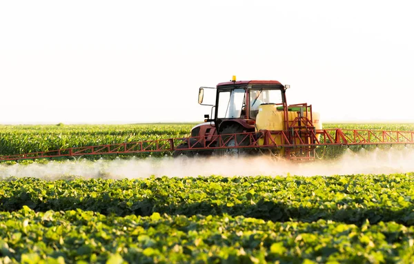 Farmer Tractor Sprayer Makes Fertilizer Young Vegetables — ストック写真