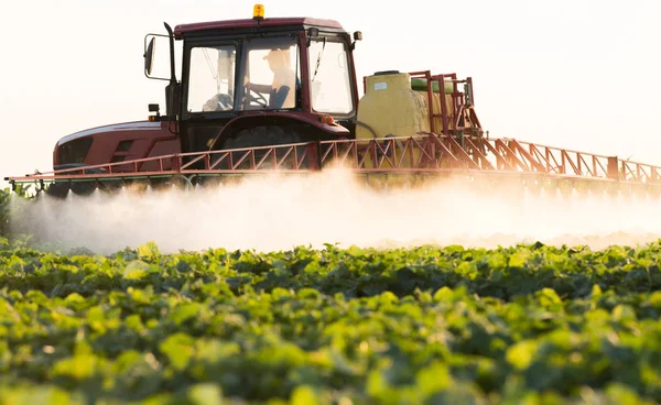 Farmář Traktoru Rozprašovačem Hnojivo Pro Mladé Zeleniny — Stock fotografie