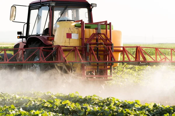 Agricultor Tractor Con Pulverizador Hace Fertilizante Para Verduras Jóvenes — Foto de Stock