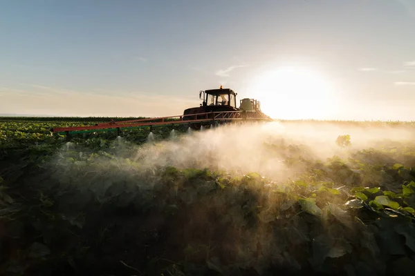 Çiftçi Bir Traktör Bir Püskürtücü Ile Genç Sebze Için Gübre — Stok fotoğraf