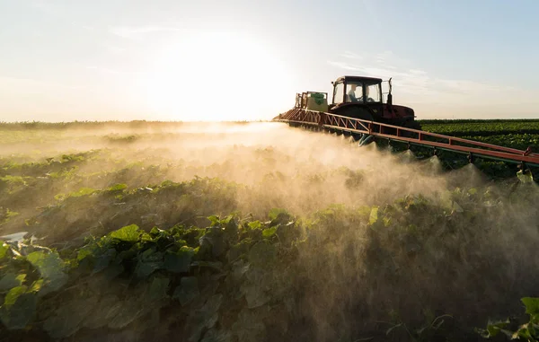 Farmer Tractor Sprayer Makes Fertilizer Young Vegetables — Stock Photo, Image