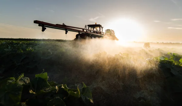 Farmář Traktoru Rozprašovačem Hnojivo Pro Mladé Zeleniny — Stock fotografie