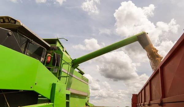 Nalévání Zrna Pšenice Přívěsu Traktoru Sklizni Poli — Stock fotografie