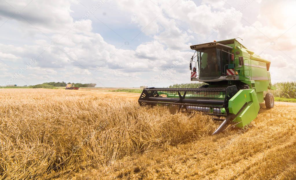 Harvesting of wheat fields with combine